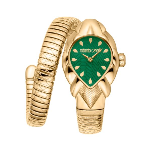 Roberto Cavalli X093_RC5L110M0045